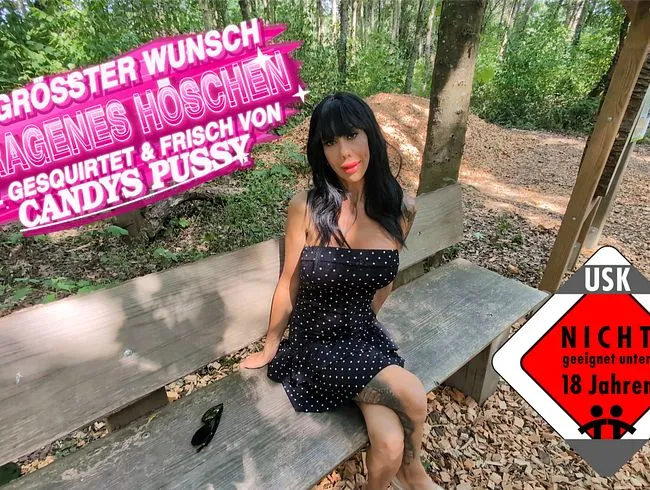 sein größter Wunsch Getragen, vollgesquirtet und frisch von Candys Pussy