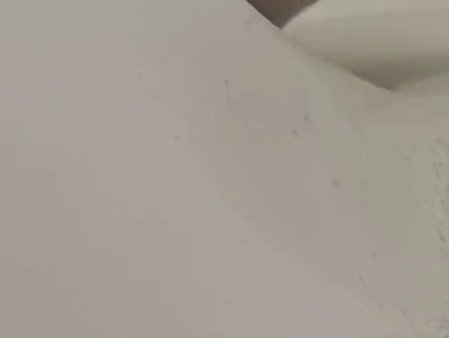 Zucchini fick